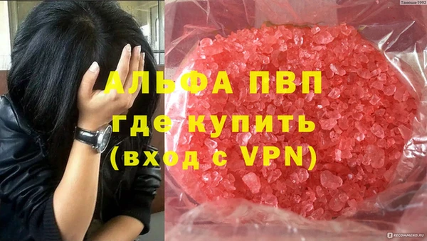 ECSTASY Балахна