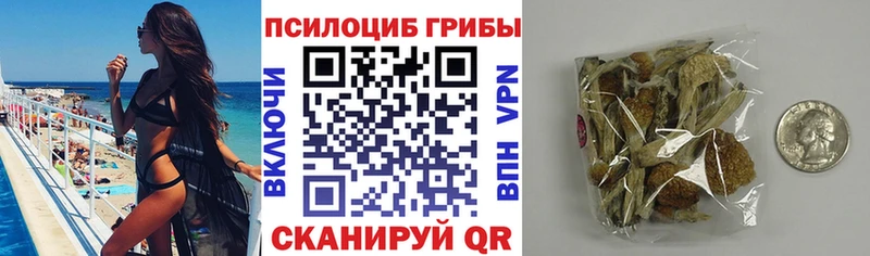 omg сайт  Зима  Псилоцибиновые грибы мухоморы 